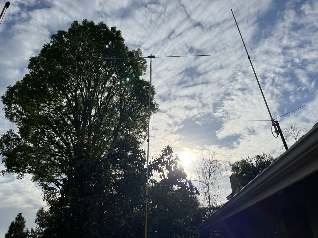 6 Meter Dipole